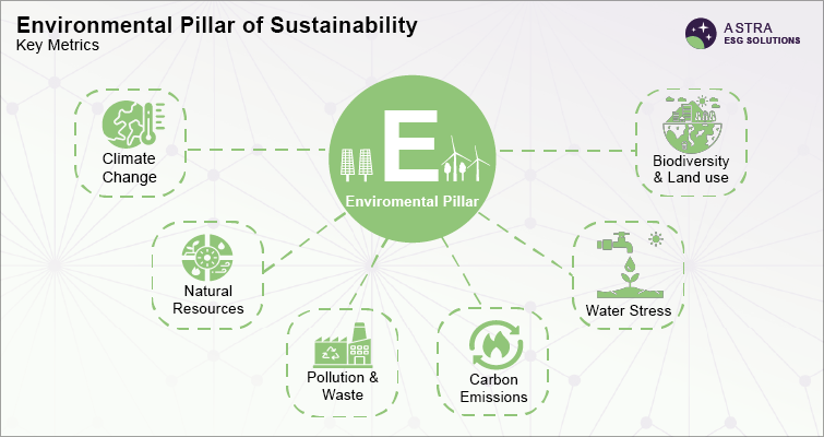 Environmental Pillar of Sustainability